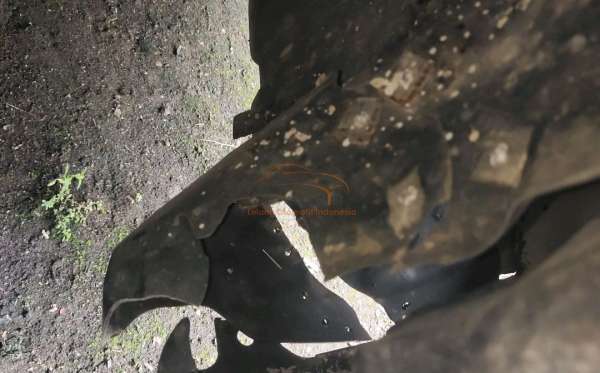 TOYOTA KIJANG INNOVA G