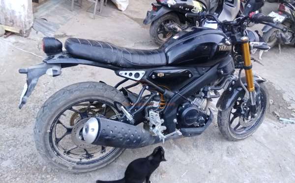 YAMAHA XSR 155