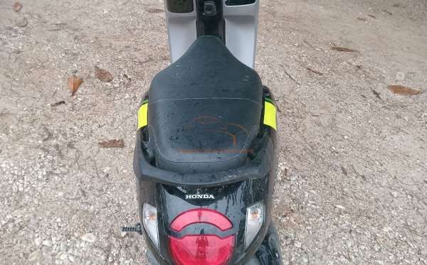 HONDA  SCOOPY