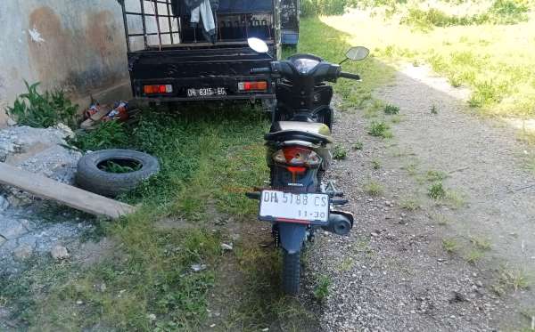 HONDA  REVO