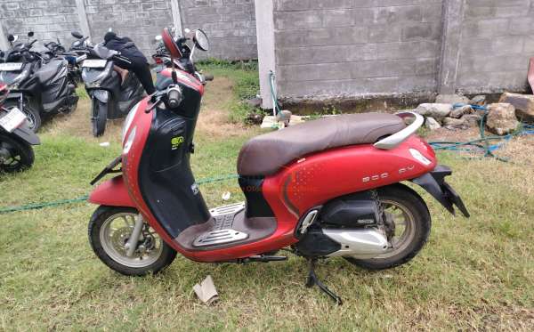 HONDA SCOOPY CW