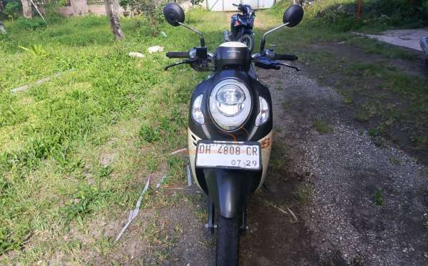 HONDA SCOOPY