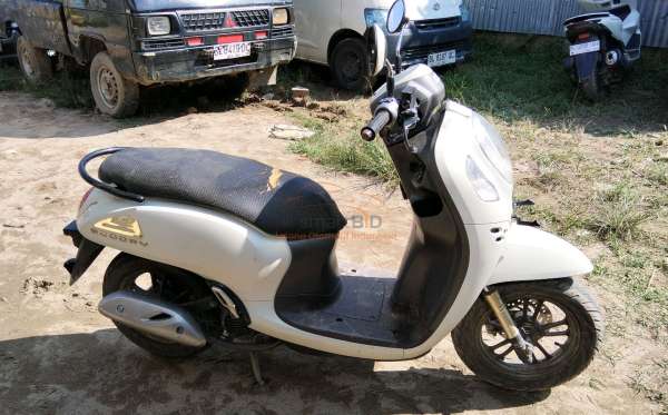 HONDA  SCOOPY