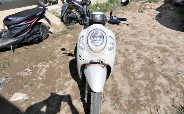HONDA  SCOOPY
