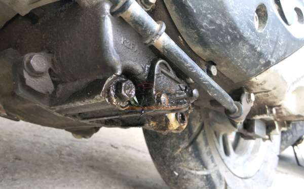 HONDA SCOOPY STYLISH