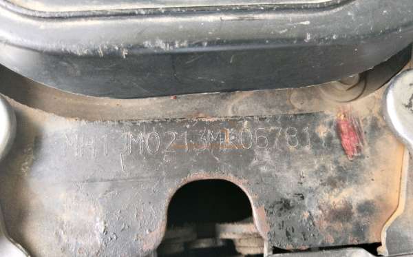 HONDA SCOOPY STYLISH