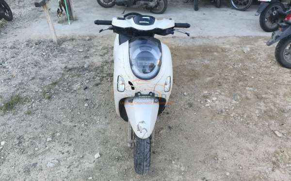 HONDA  SCOOPY