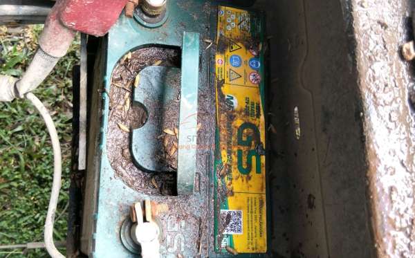 SUZUKI  ST 150