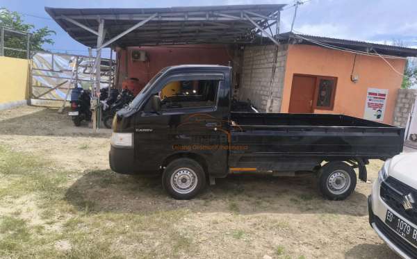 SUZUKI  CARRY  PU