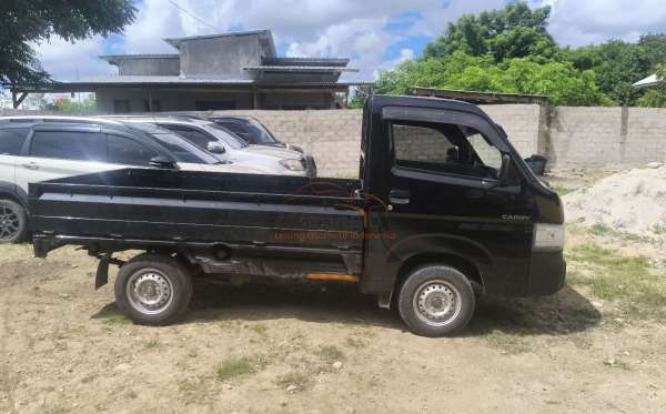 SUZUKI  CARRY  PU