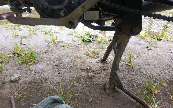 HONDA REVO FIT