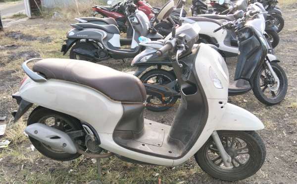 HONDA SCOOPY