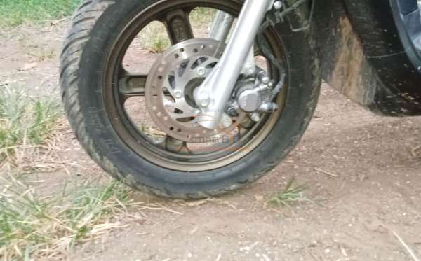 HONDA SCOOPY