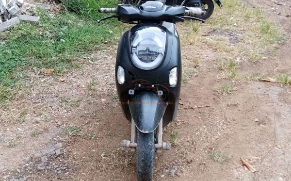 HONDA SCOOPY