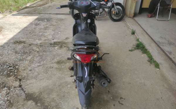 YAMAHA VEGA FORCE DB