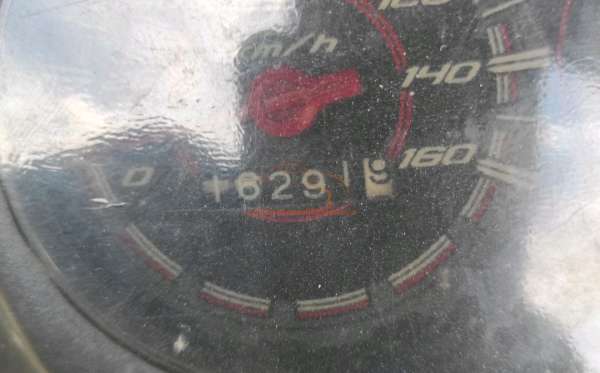 YAMAHA VEGA FORCE DB