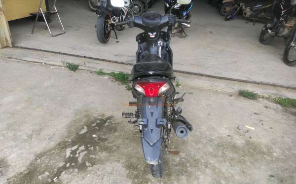 YAMAHA VEGA FORCE DB