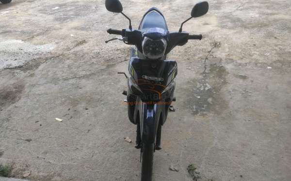 YAMAHA VEGA FORCE DB