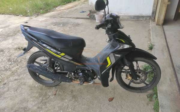 YAMAHA VEGA FORCE DB