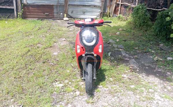HONDA SCOOPY