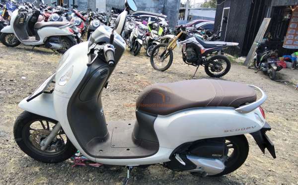 HONDA SCOOPY