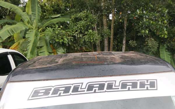 SUZUKI CARRY