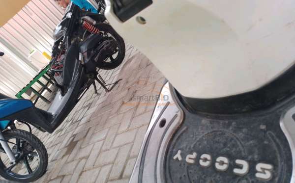 HONDA  SCOOPY