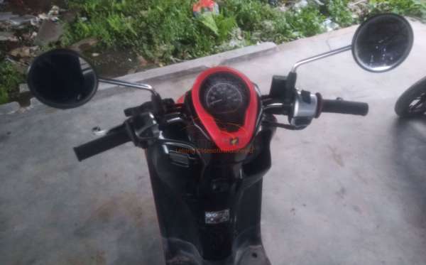 HONDA SCOOPY CW