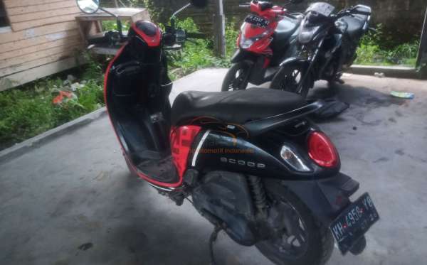 HONDA SCOOPY CW