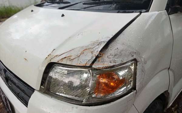 SUZUKI MEGA CARRY PU