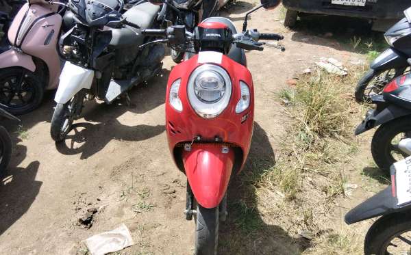 HONDA  SCOOPY