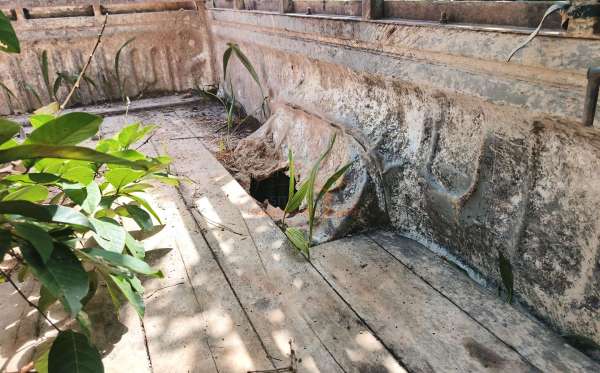 TOYOTA HILUX SINGLE CABIN