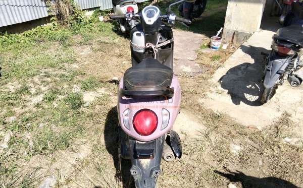 HONDA SCOOPY SPORTY