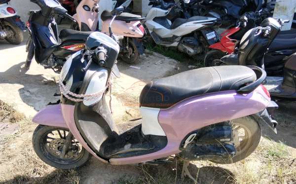 HONDA SCOOPY SPORTY