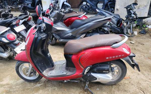 HONDA SCOOPY STYLISH