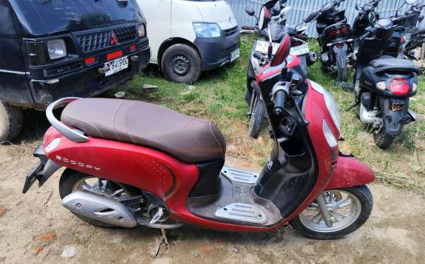 HONDA SCOOPY STYLISH