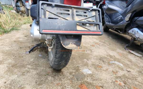 HONDA SCOOPY STYLISH