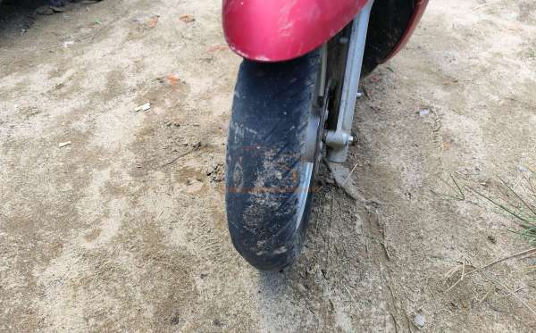 HONDA SCOOPY STYLISH