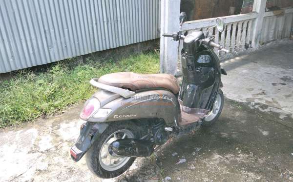HONDA  SCOOPY
