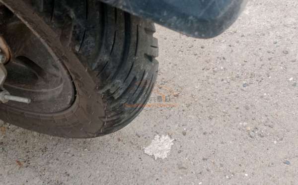 HONDA SCOOPY PRESTIGE