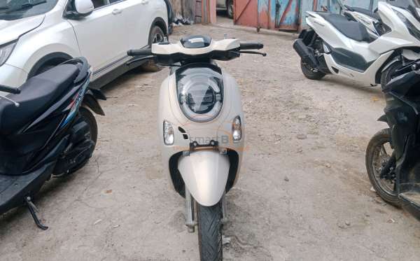 HONDA SCOOPY PRESTIGE