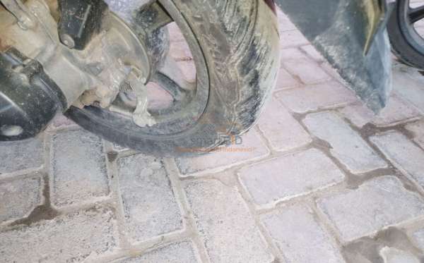 HONDA SCOOPY PRESTIGE