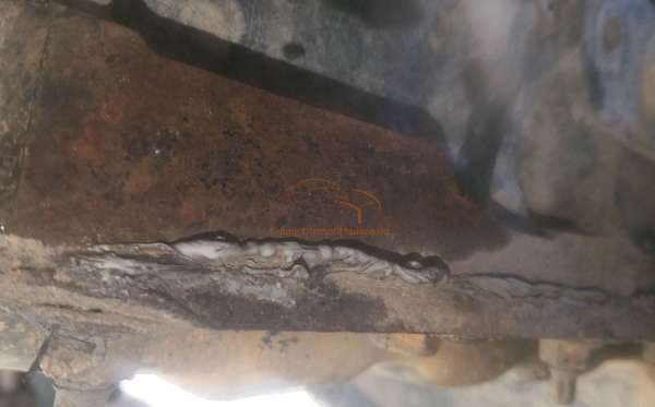 ISUZU  NKR  71 HD E2-2