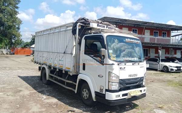 ISUZU  NMR 81U