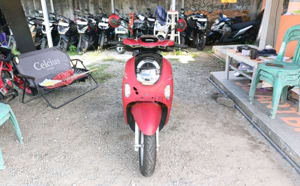 HONDA SCOOPY STYLISH