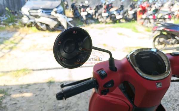 HONDA SCOOPY STYLISH