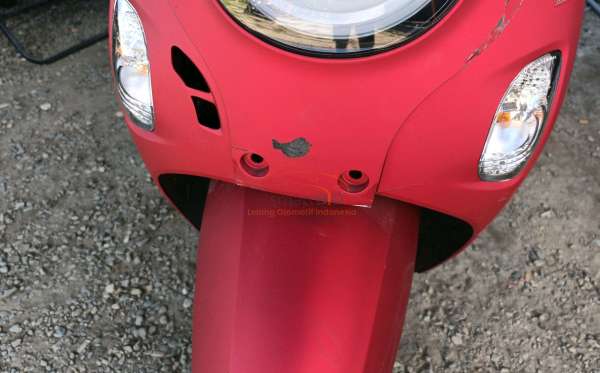 HONDA SCOOPY STYLISH