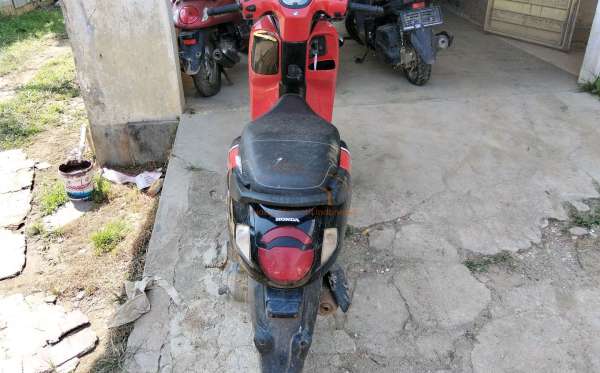 HONDA  SCOOPY