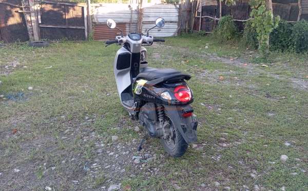 HONDA SCOOPY