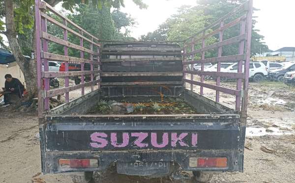 SUZUKI  CARRY  PU